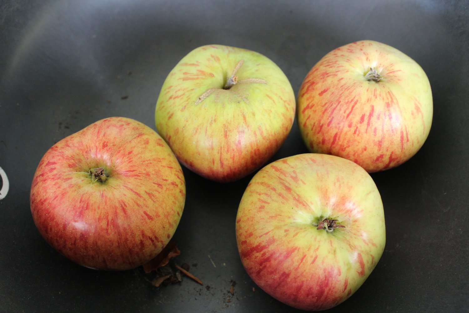 Malus domestica HÖSTDESSERT E (äpple)