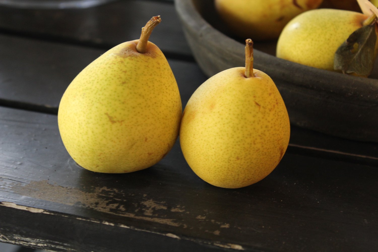 Pyrus communis 'Clara Frijs' E, (päron)