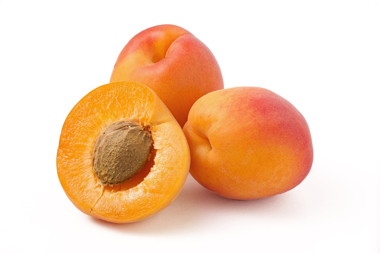 Prunus armeniaca 'Orangered', (aprikos)