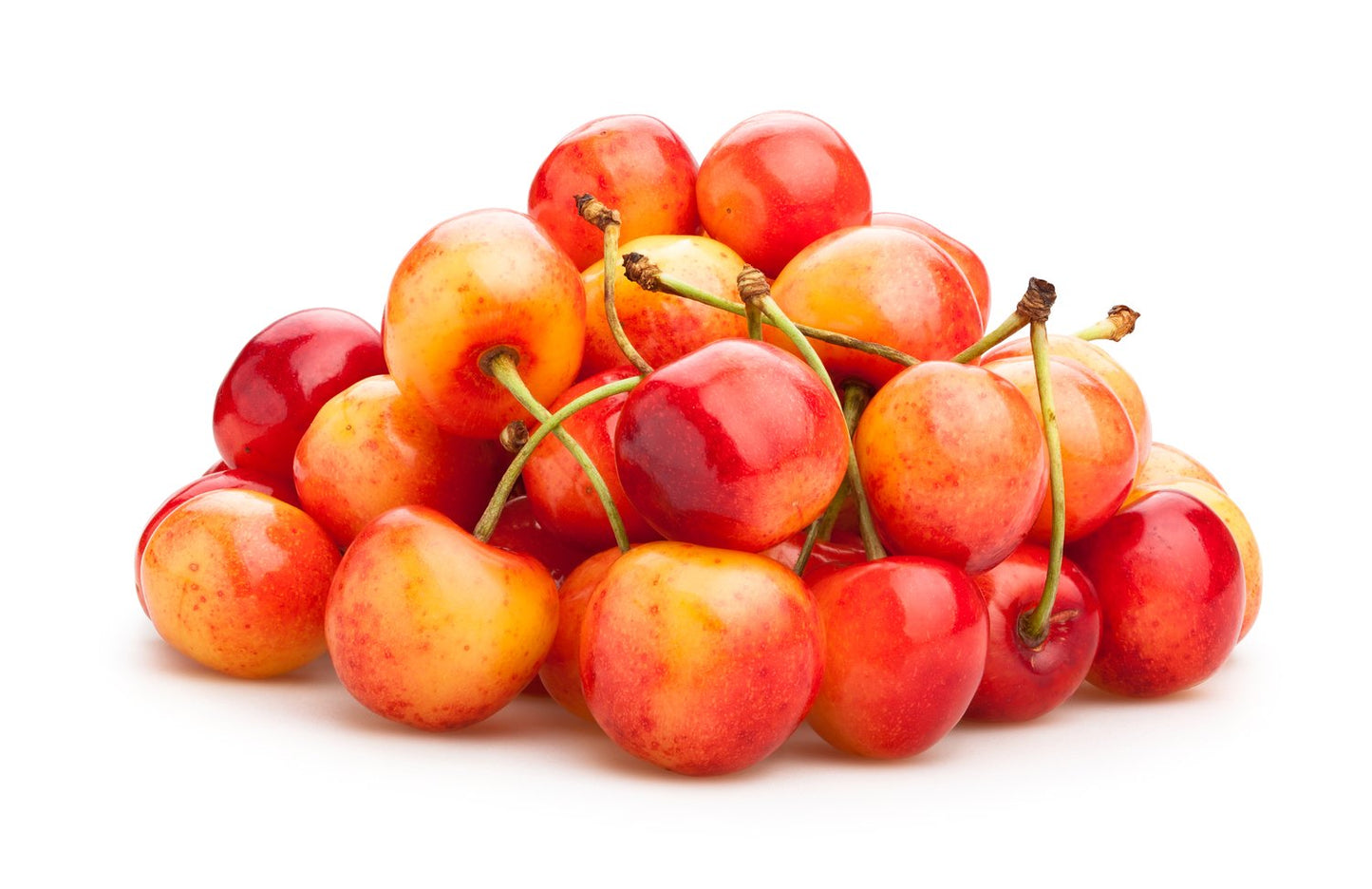 Prunus avium 'Heidi' E, (körsbär)