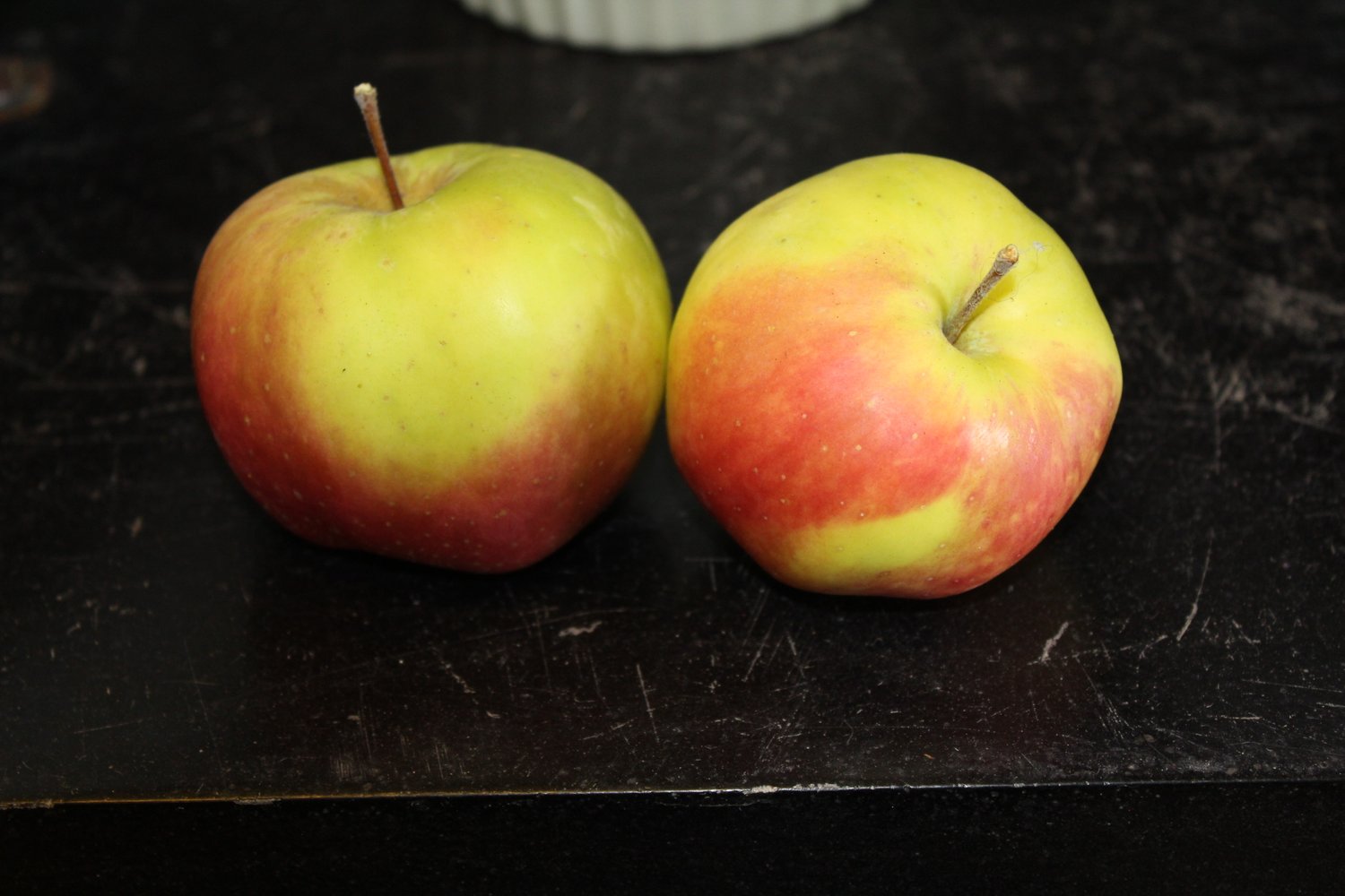 Malus domestica 'Filippa' E, (äpple), inkl. uppbindnings kit