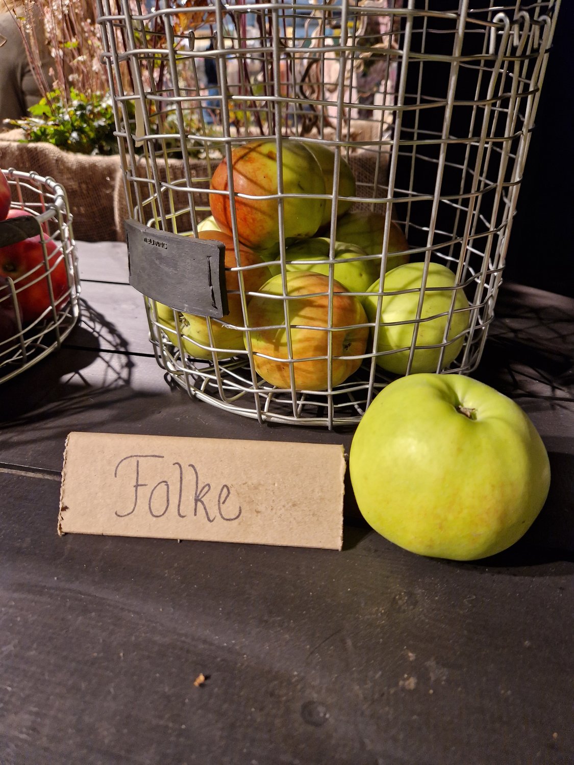 Malus domestica FOLKE® E, (äpple)