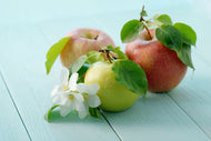 Familjeträd äpple Zon 5-6 (Malus domestica),  inkl. uppbindnings kit