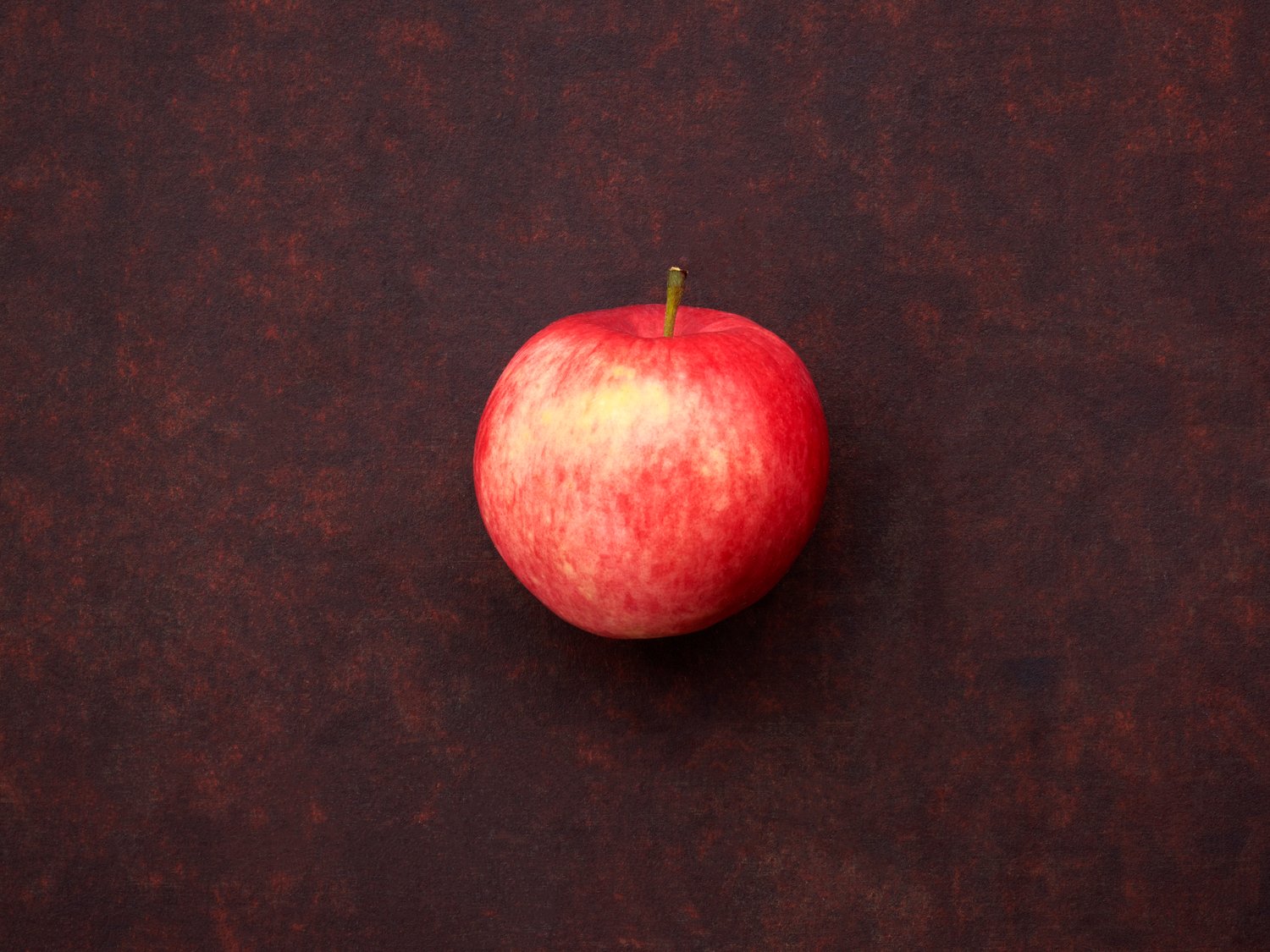 Malus domestica 'Mantet', (äpple)