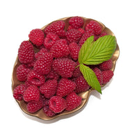 Rubus (Hösthallon) 'Autumn Bliss' E