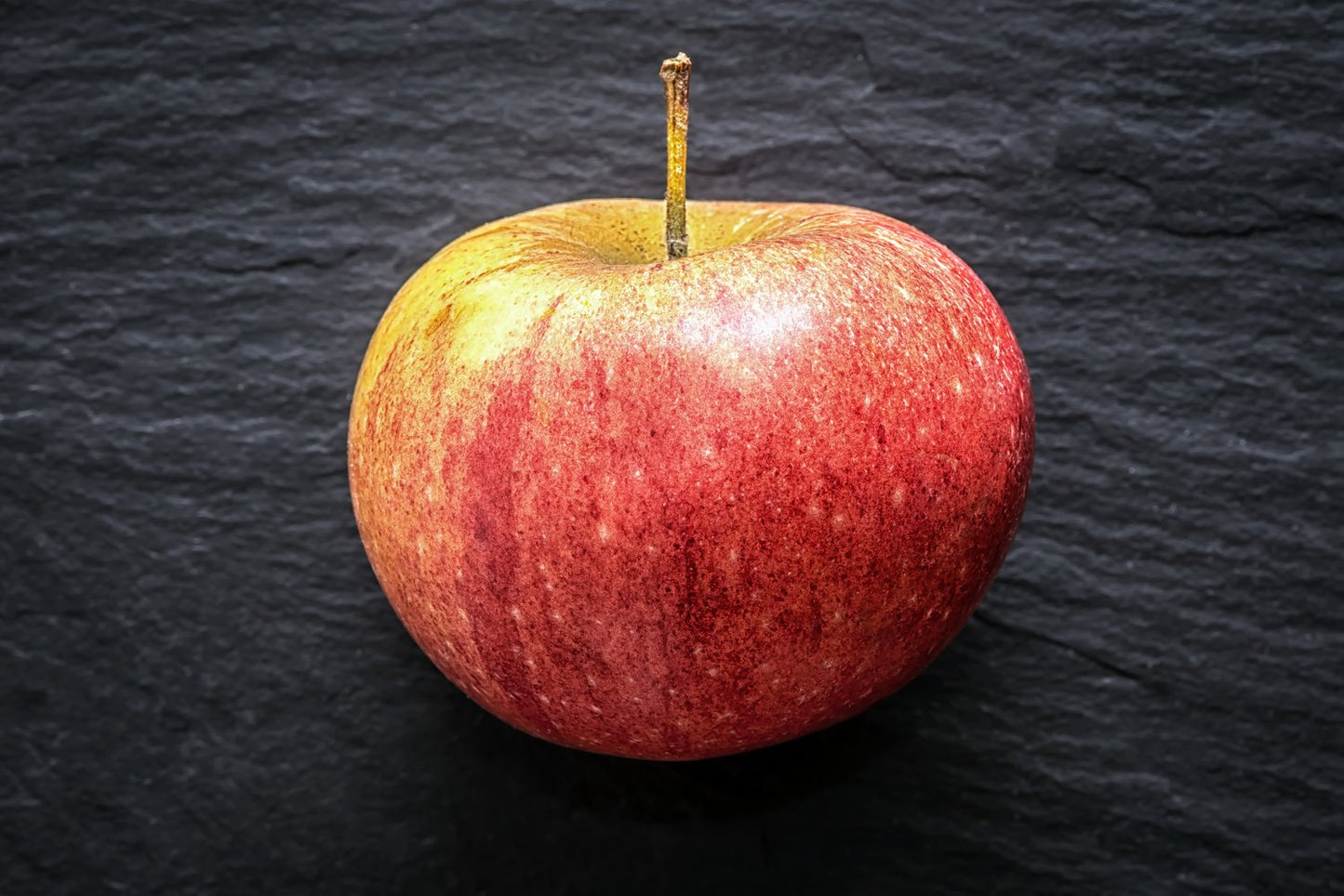 Malus domestica 'Queen Cox' (äpple)