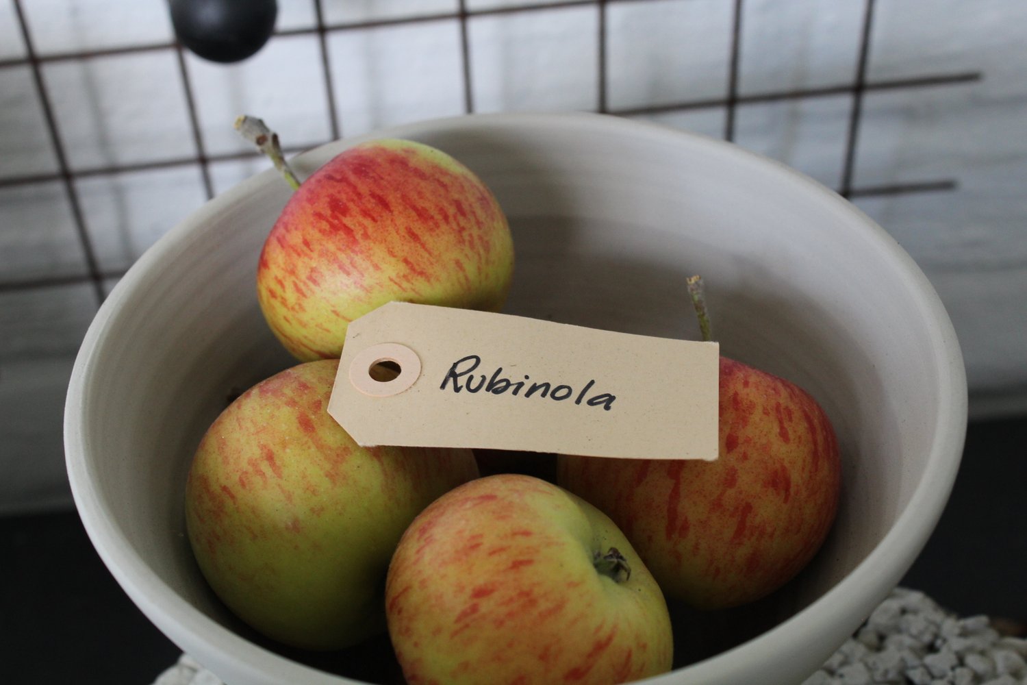 Malus domestica 'Rubinola' (äpple)