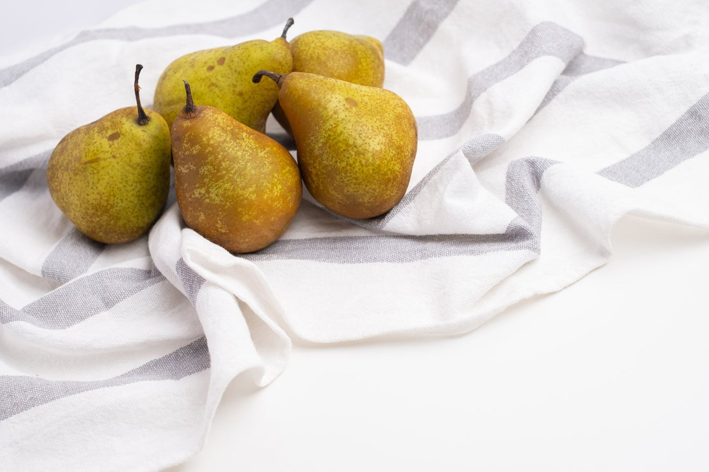 Pyrus communis GRÅPÄRON