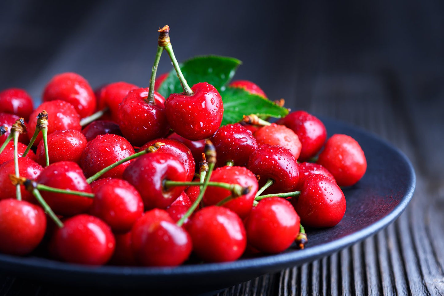 Prunus cerasus 'Huvimaja' (körsbär), inkl uppbindnings kit