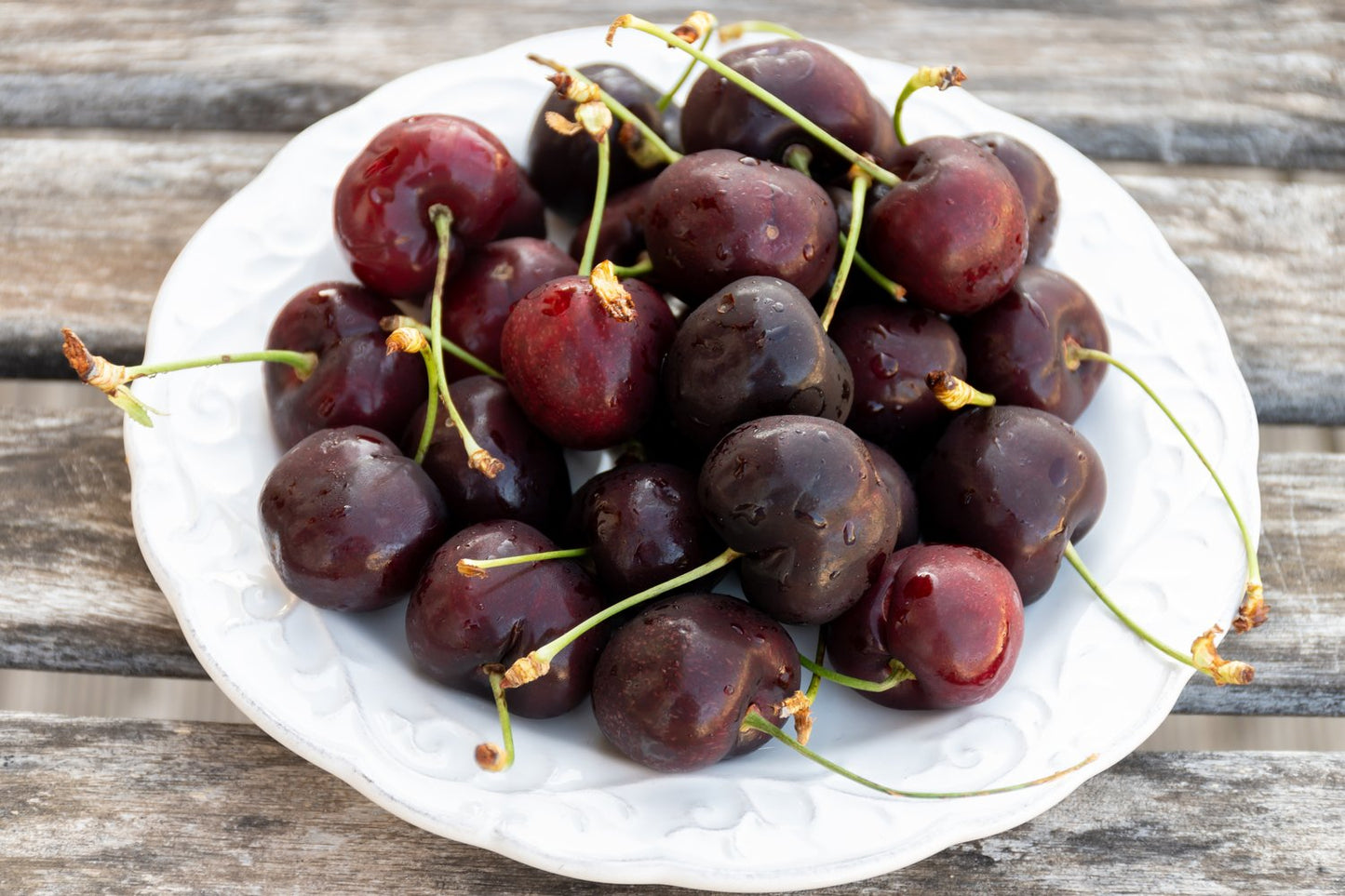 Prunus avium 'Lapins' E, (körsbär)