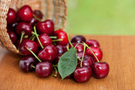 Prunus avium SWEETHEART (körsbär), inkl uppbindnings kit
