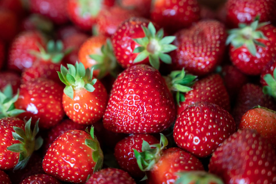 Fragaria ananassa 'Polka'