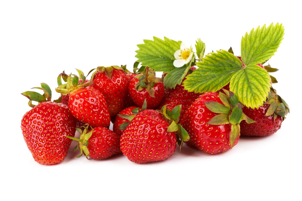Fragaria ananassa 'Malwina'