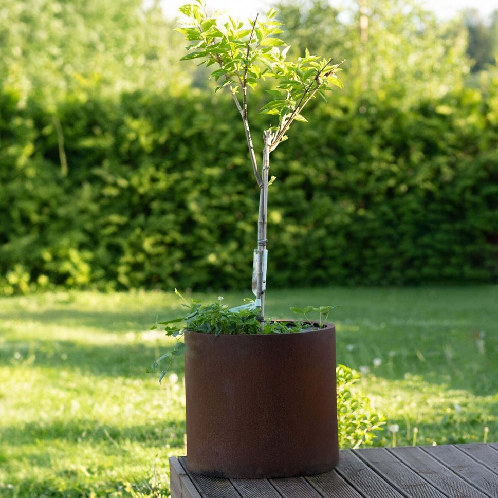 Petteri Wiimaa Cortenkruka Myy XXL, ø 80 cm