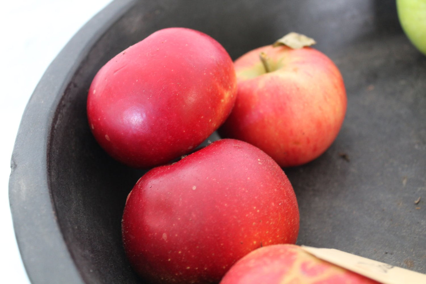Malus domestica 'Discovery' E, (äpple)