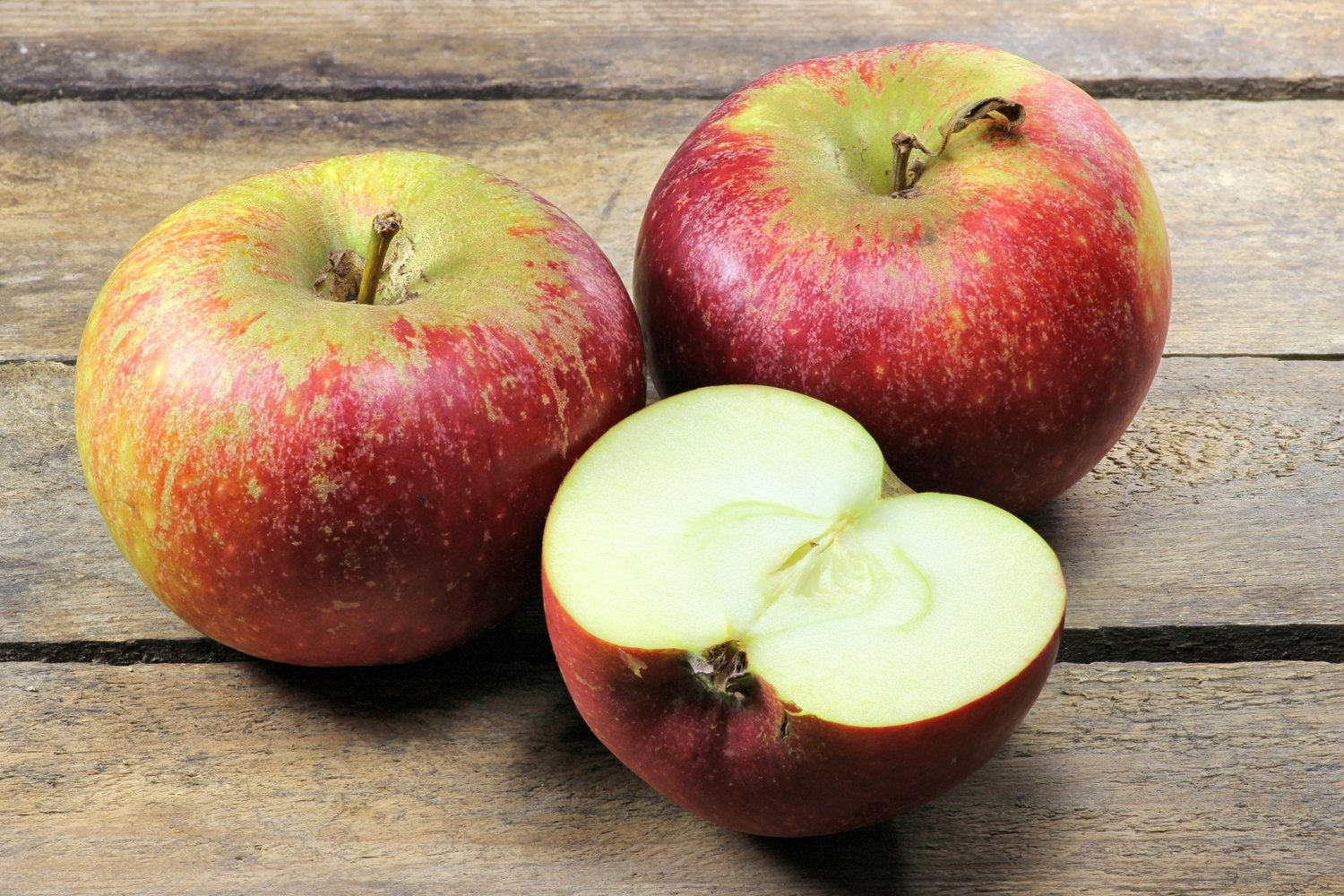 Malus domestica 'Ingrid Marie' E, (äpple), inkl. uppbindnings kit