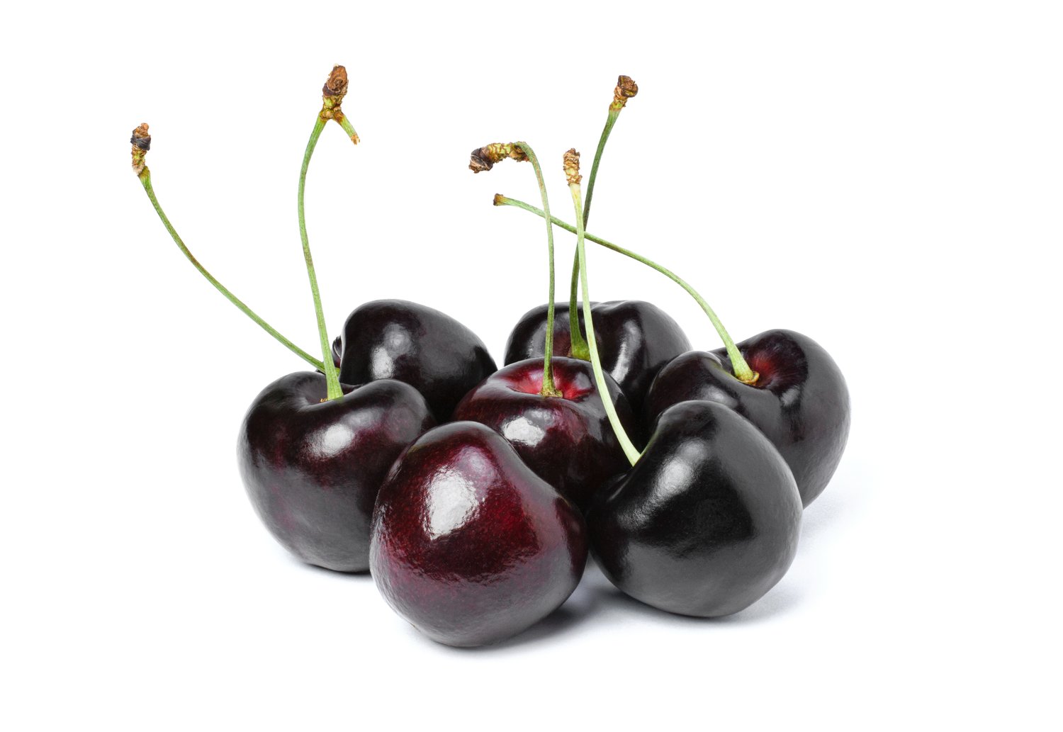 Prunus avium STOR SVART BIGARRÅ, (körsbär), inkl. uppbindnings kit